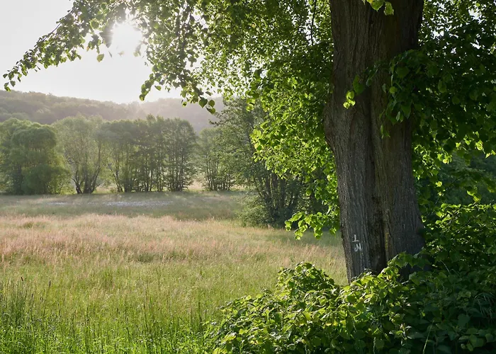 Top Hotels in Bad Emstal für erholsamen Urlaub