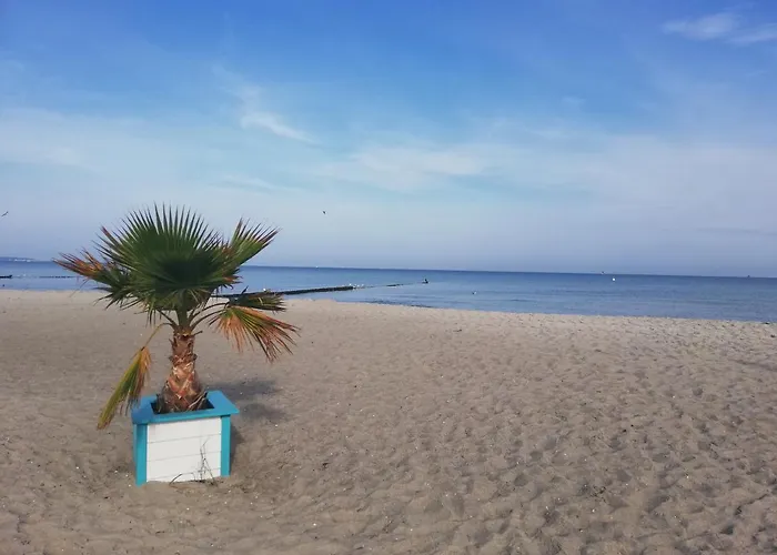 Beste Hotels in Markgrafenheide für Naturgenuss